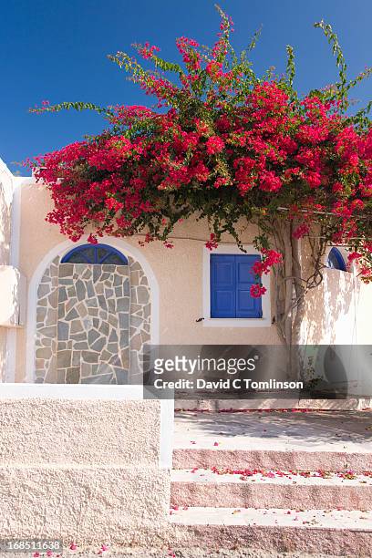 typical village house, akrotiri, santorini, greece - bougainvillea stock-fotos und bilder