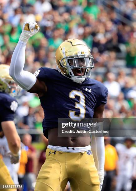 Jaylen Sneed of the Notre Dame Fighting Irish reacts after a play during the first half in the game against the Central Michigan Chippewas at Notre...