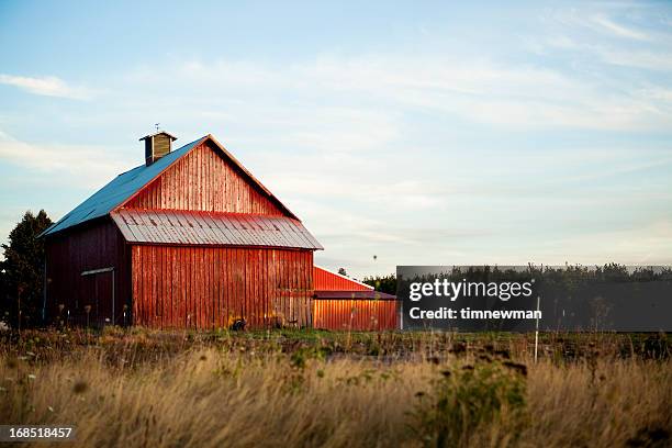 summer barn - agrarisch gebouw stockfoto's en -beelden