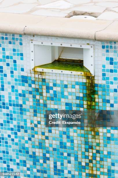 green algae grunge before cleaning tiled swimming pool - unhygienic stock pictures, royalty-free photos & images