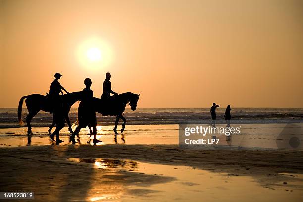 cabalgatas en la puesta de sol - bali horse fotografías e imágenes de stock