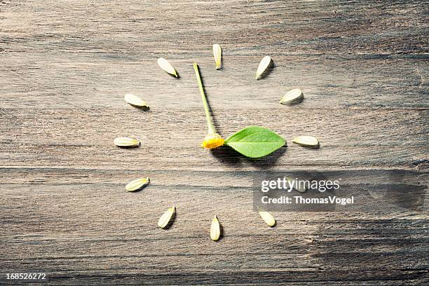 reloj de flores, horario de verano - spring forward fotografías e imágenes de stock