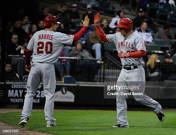 Mike Trout of the Los Angeles Angels is greeted after scoring by Brendan Harris during the third inning against the Chicago White Sox on May 10, 2013...