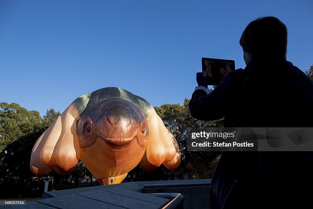 'Skywhale' Launches In Canberra