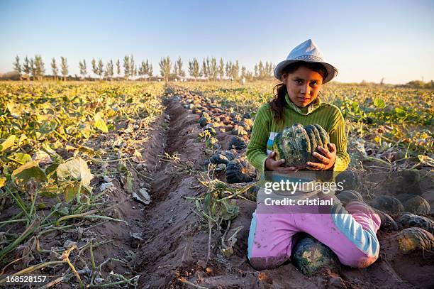 little farmer - bolivia stock-fotos und bilder