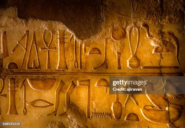 two rows of egyptian hieroglyphics - ancient egyptian culture 個照片及圖片檔