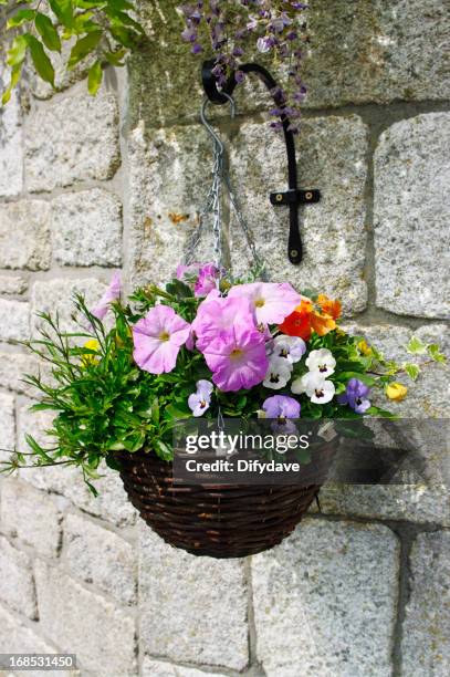 hanging basket of flowers on stone wall - flower basket stock pictures, royalty-free photos & images
