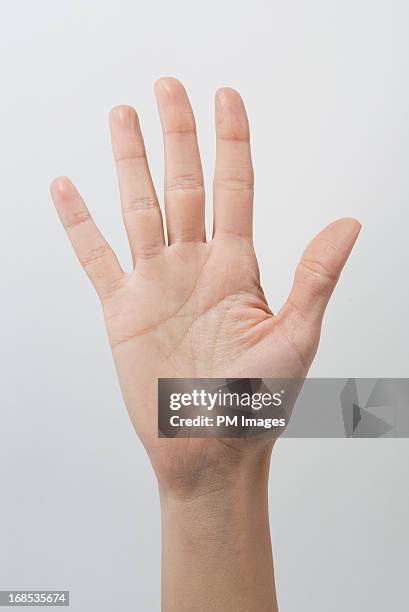 woman's hand - hand waving stock pictures, royalty-free photos & images