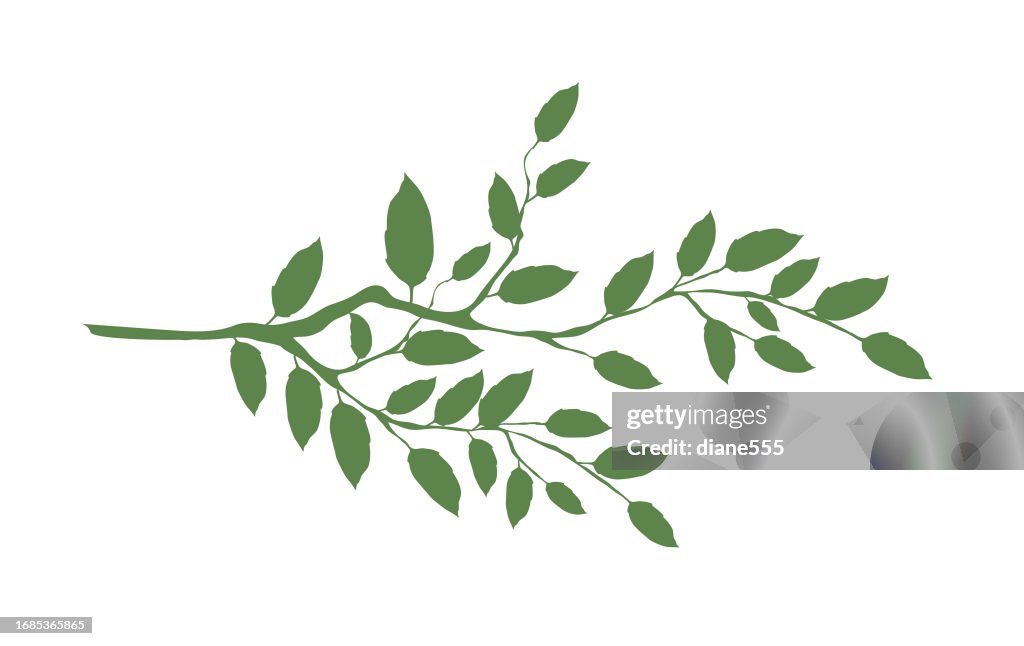 Einfache Pflanzenzweig-Silhouette