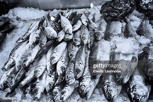fish market - räucherfisch stock-fotos und bilder