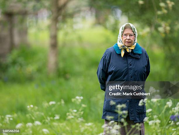 Queen Elizabeth II walks in the grounds at Windsor Castle during The Royal Windsor Horse Show on May 11, 2013 in Windsor, England.