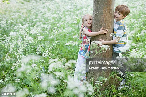 brother and sister hugging tree - kid in tree stock pictures, royalty-free photos & images