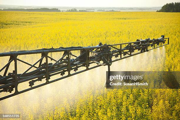 crop sprühen in canola field - insecticide stock-fotos und bilder