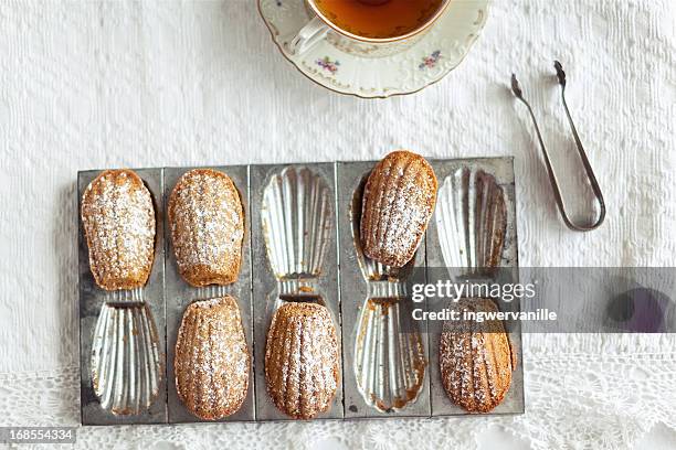 madeleines with tea - madeleine stock pictures, royalty-free photos & images