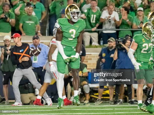 Notre Dame Fighting Irish linebacker Jaylen Sneed reacts after making a stop on fourth down during the college football game between the Ohio State...