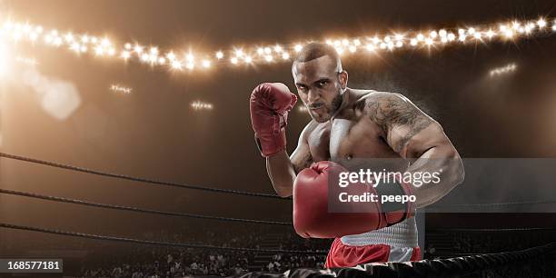 Overprotected Boxer 779 Low Angle Boxer Stock Photos, High-Res Pictures, and Images - Getty ...