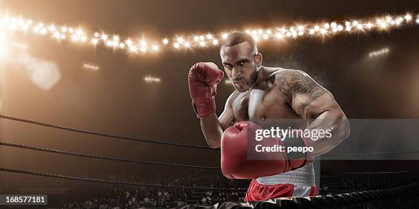 boxer ready to fight - boxing heavyweight 個照片及圖片檔