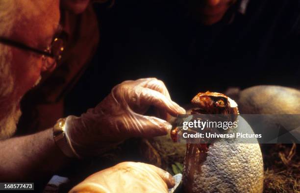 Richard Attenborough hatches a baby dinosaur in a scene from the film 'Jurassic Park', 1993.