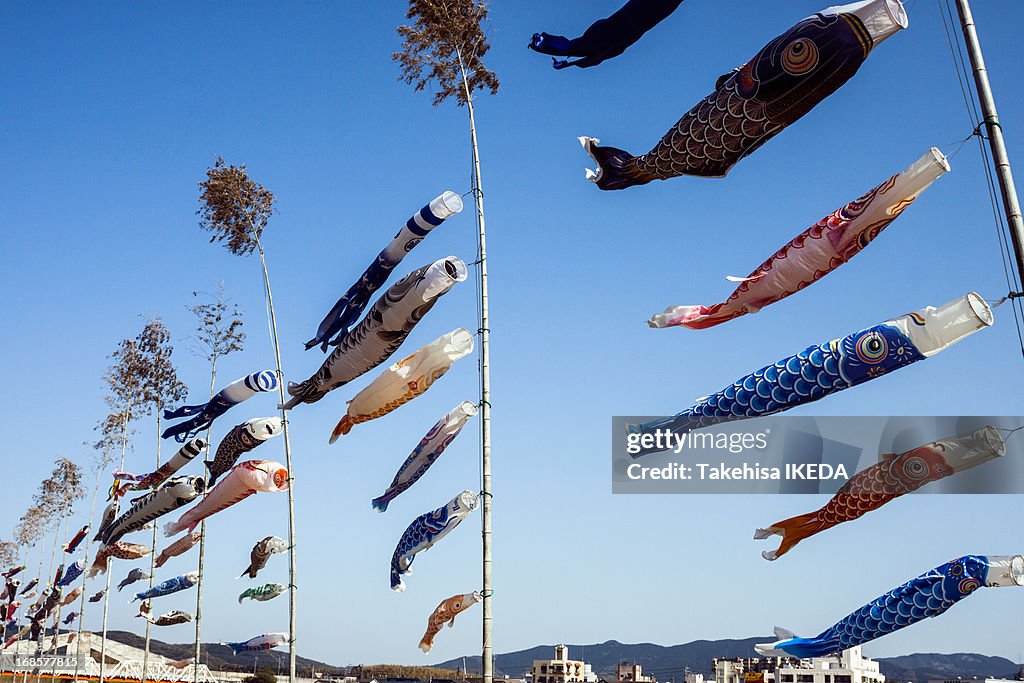 Colorful carp streamers