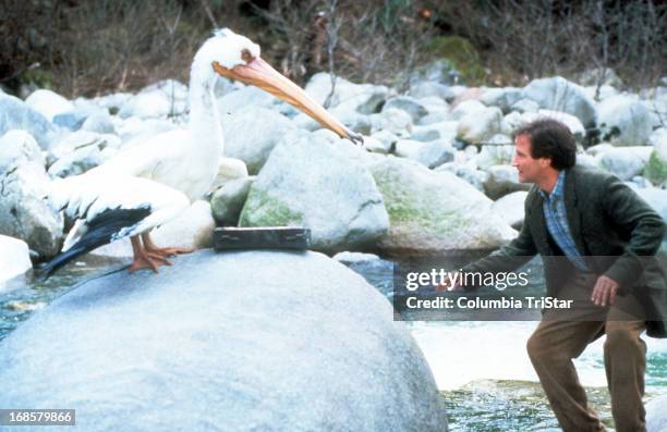 Robin Williams faces off with a herron in a scene from the film 'Jumanji', 1995.