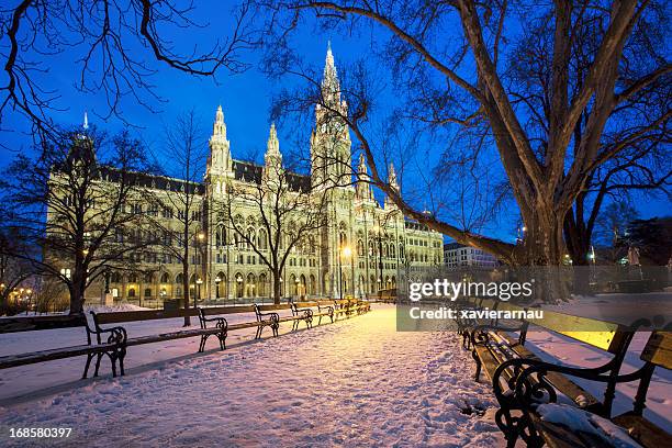 rathaus en viena - ayuntamiento de viena fotografías e imágenes de stock