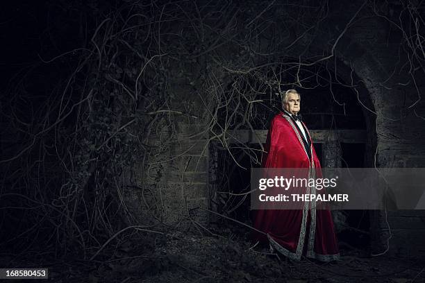 the vampire - vampire castle stock pictures, royalty-free photos & images