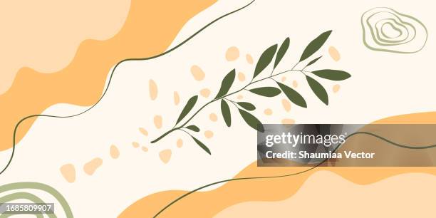 abstract liquid background template with eucalyptus leaf and pebbles stones - pebbles vector stock illustrations