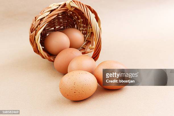 eggs - eggs in basket stock pictures, royalty-free photos & images