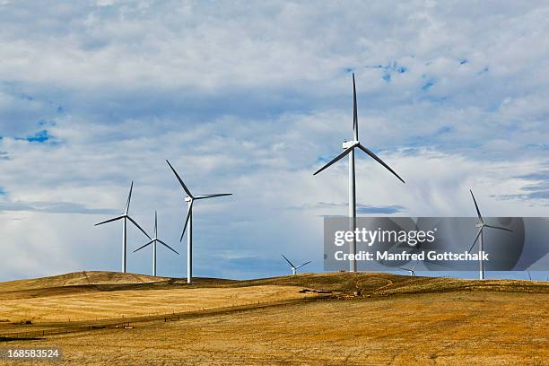 bluff range windfarm - south australia stock pictures, royalty-free photos & images