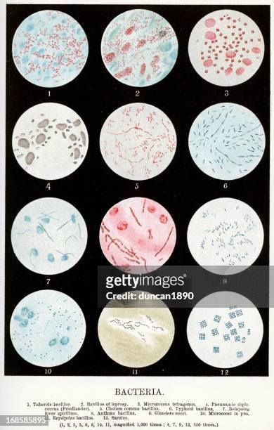 bacteria - leprosy stock illustrations