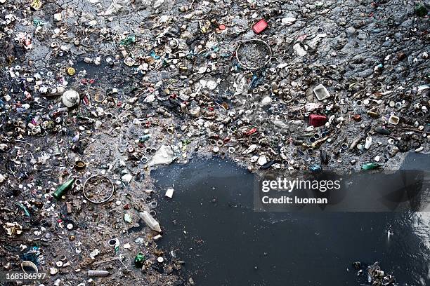 poluição de água - contaminação imagens e fotografias de stock