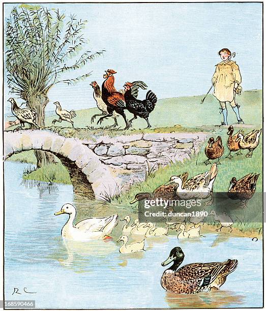 the farmer's boy - free range ducks stock illustrations