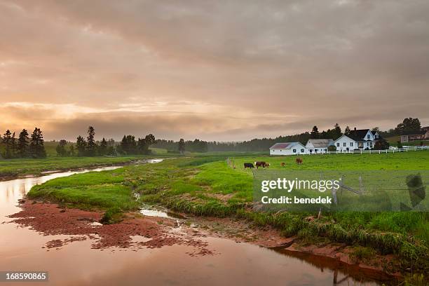 prince edward island, canada - prince edward island stock pictures, royalty-free photos & images