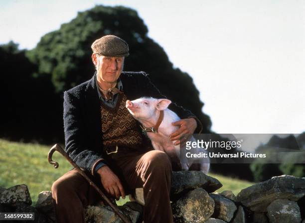 James Cromwell with Babe in a scene from the film 'Babe', 1995.