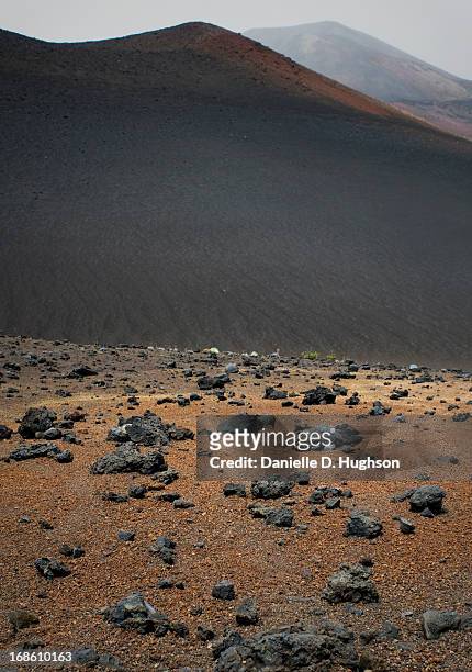 volcanic sands on maui - polynesia stock pictures, royalty-free photos & images
