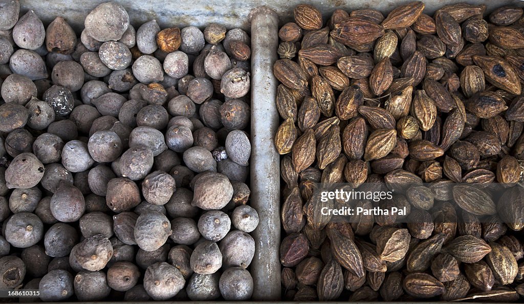 Bahera(Terminalia bellericais) & Haritaki