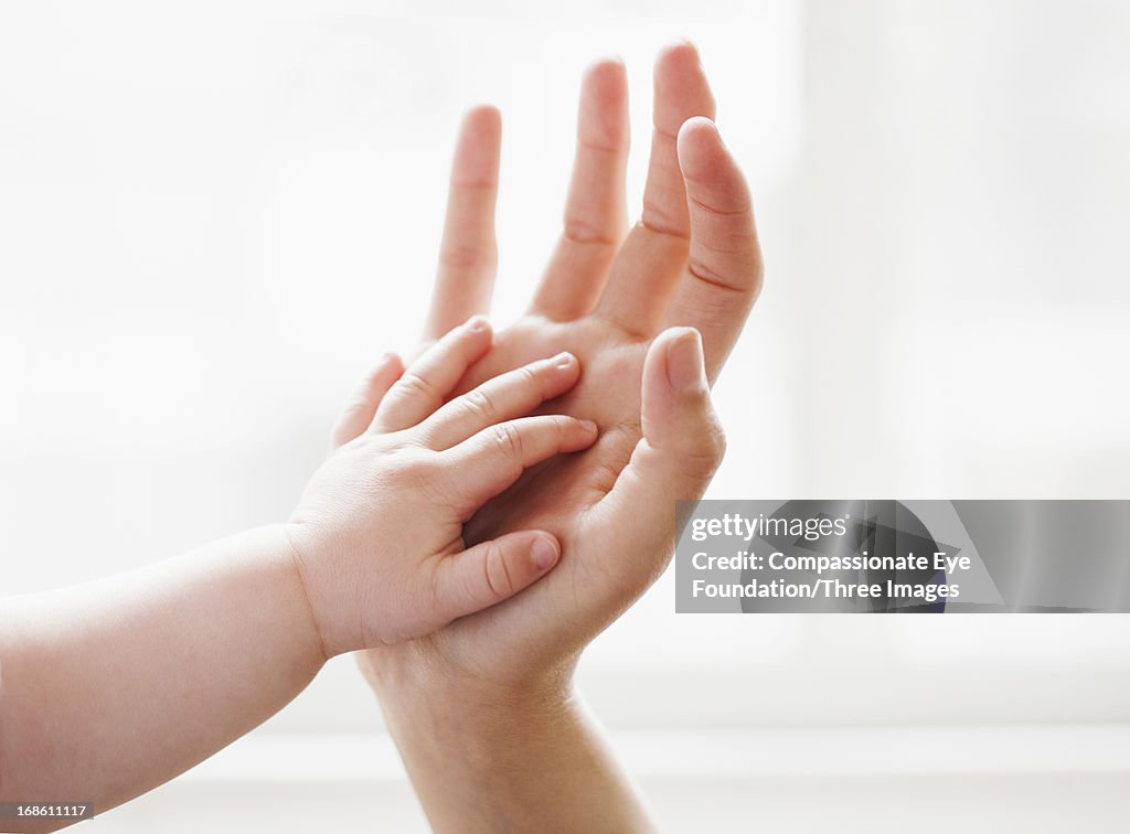 Baby touching mother's hand