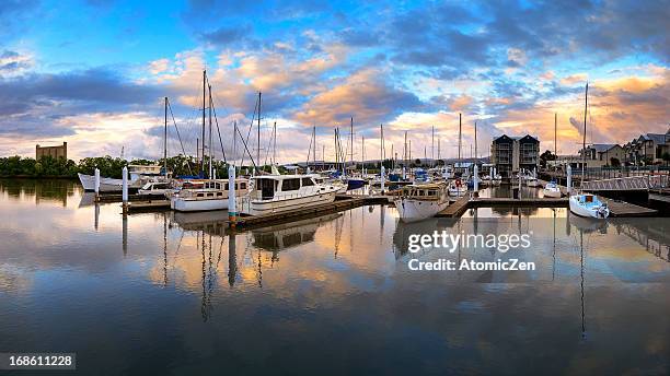 launceston, tasmania - launceston foto e immagini stock