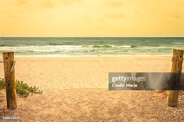 beach scene in vintage colors - anna maria island 個照片及圖片檔