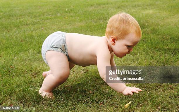crawling baby in cloth - reusable diaper stock pictures, royalty-free photos & images