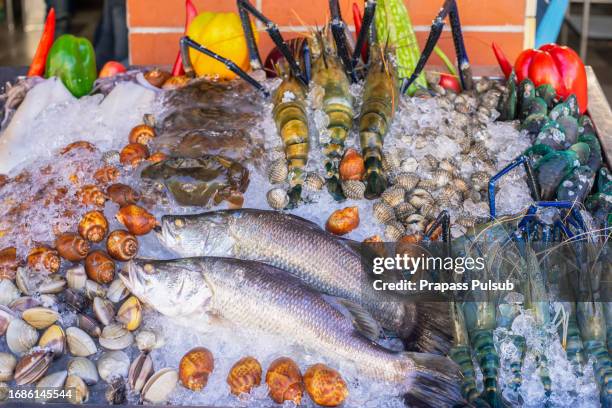 Cook Fish Display 880 Restaurant Fish Display Stock Photos, High-Res Pictures, and Images ...