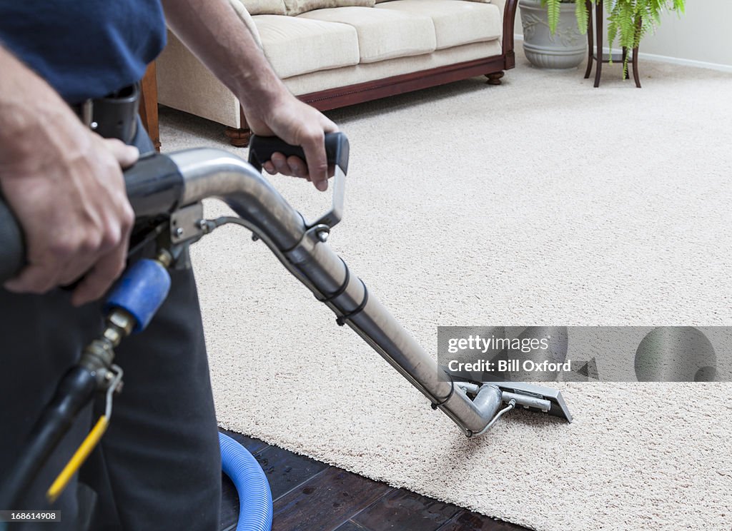 Steam Cleaning Carpets