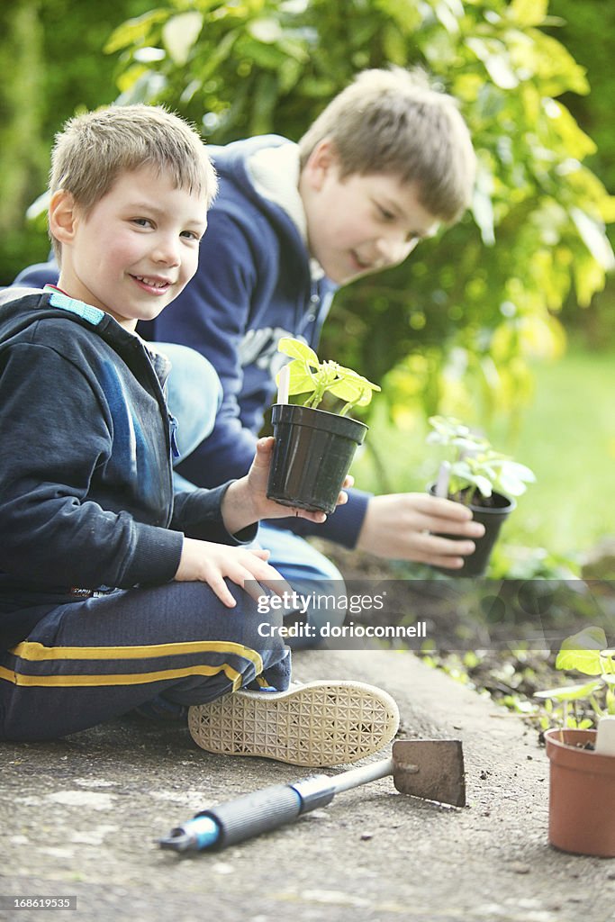 Jardinería boys