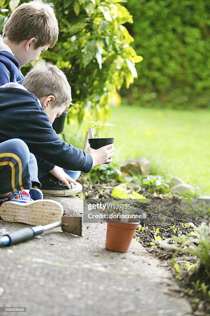 Jardinería boys