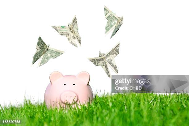 Spring Money Photos and Premium High Res Pictures - Getty Images