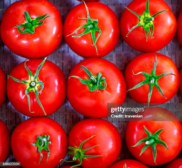 tomatoes - red plum stock pictures, royalty-free photos & images
