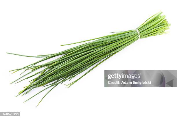 bunch of chives - chive stock pictures, royalty-free photos & images