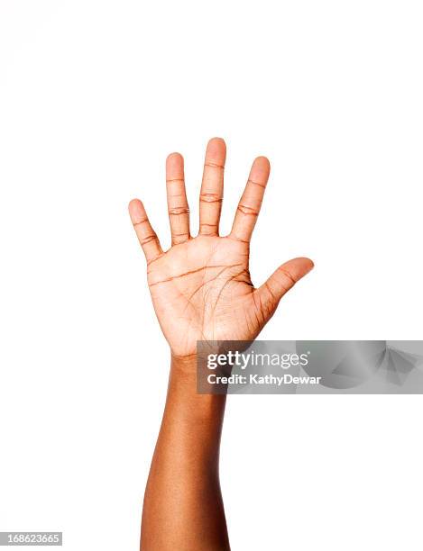 amerikanische gebärdensprache zahl 5 - handfläche stock-fotos und bilder