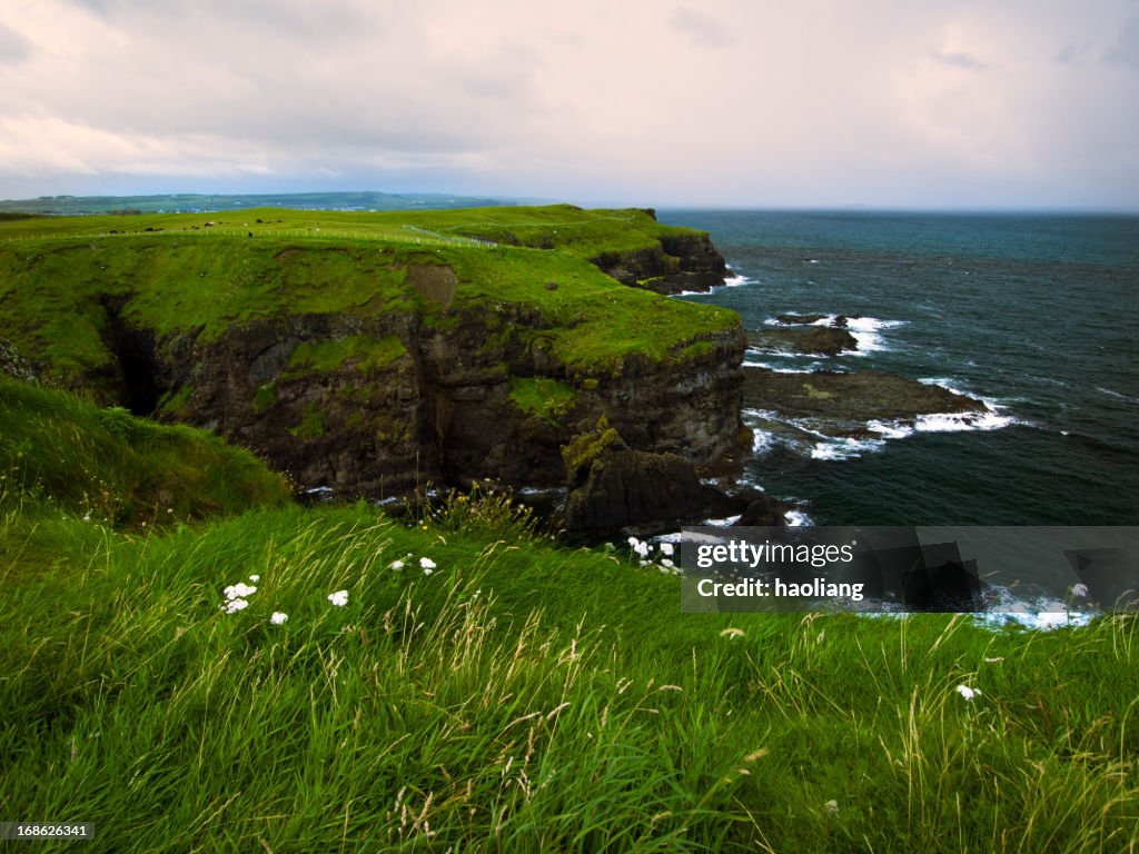 アイルランドの風景