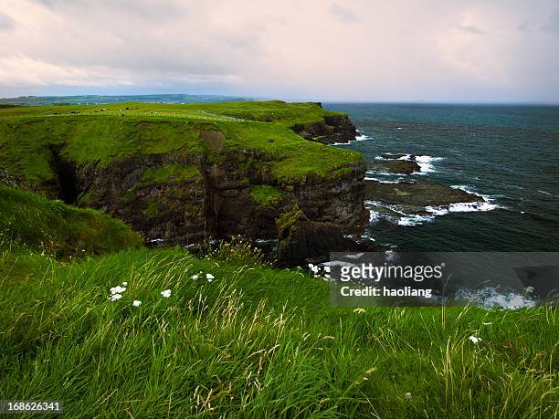 irish landscape - irish sea stock pictures, royalty-free photos & images